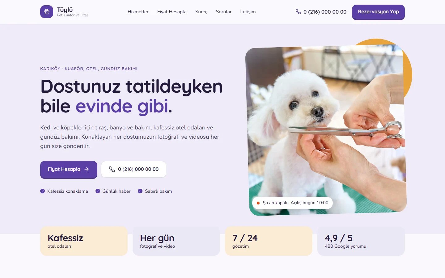 Pet Kuaförü ve Pet Oteli için örnek web sitesinin masaüstü açılış ekranı